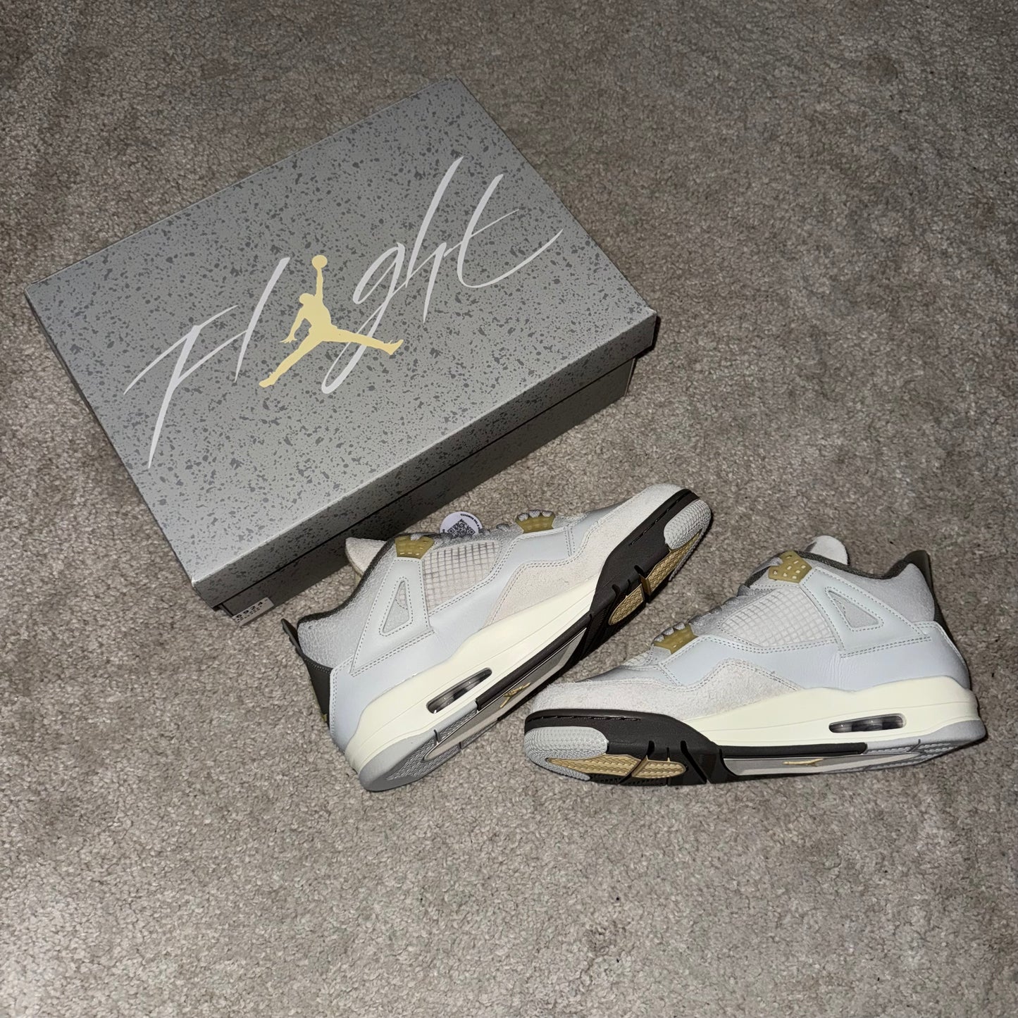 Jordan 4 Retro SE Craft Photon Dust